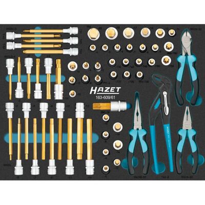 Hazet 163-609/61 Werkzeugsatz - Sicherheitssystem (SIS) Hazet 163-609/61 Werkzeugsatz - Sicherheitssystem (SIS)