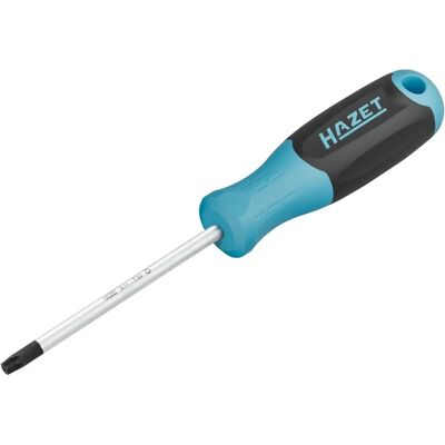 Hazet 811-T30 Torx-Schraubenzieher - 115mm Klinge - Werkstattwerkzeug Hazet 811-T30 Torx-Schraubenzieher - 115mm Klinge - Werkstattwerkzeug