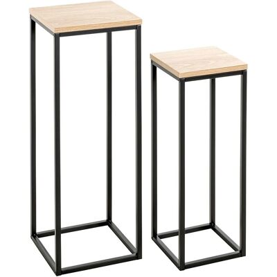 Haku Möbel Växtstöd Set - Elegant för inomhus & utomhus Haku Möbel Växtstöd Set - Elegant för inomhus & utomhus