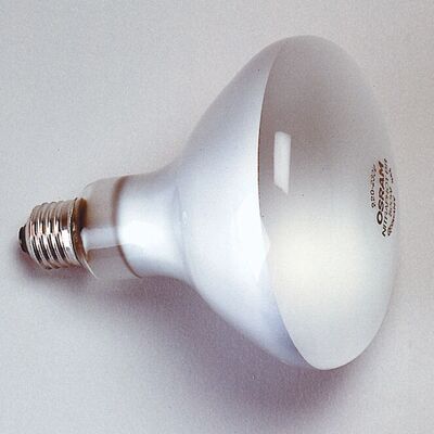 Kaiser 3125 Bombilla Incandescente - E27, 500W, Opaca Kaiser 3125 Bombilla Incandescente - E27, 500W, Opaca