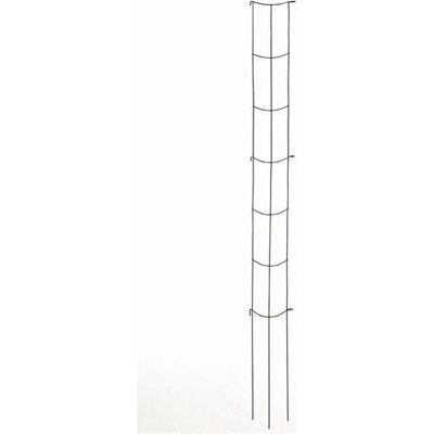 Siena Garden - Gemüse Rankturm - 148 cm - Pflanzenstütze Siena Garden - Gemüse Rankturm - 148 cm - Pflanzenstütze