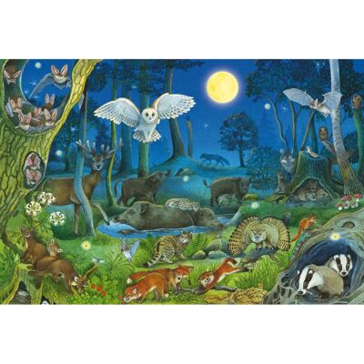 Animaux dans la Forêt Nocturne - Puzzle - Publicité Animaux dans la Forêt Nocturne - Puzzle - Publicité