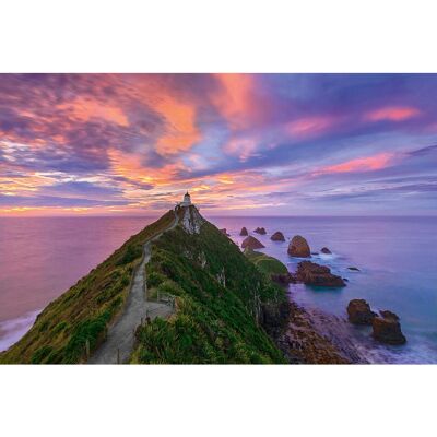 Puzzle Phare Nugget Point NZ - 3000 Pièces Puzzle Phare Nugget Point NZ - 3000 Pièces