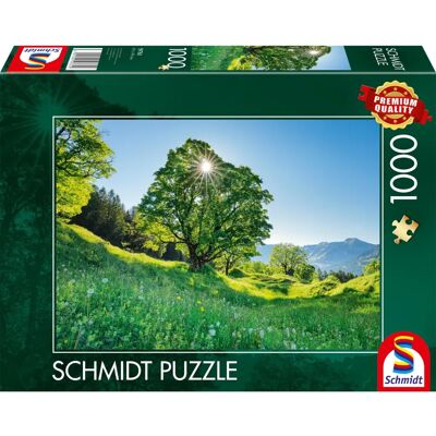 Schmidt Javor klen ve slunečním světle 1000dílné puzzle Schmidt Javor klen ve slunečním světle 1000dílné puzzle