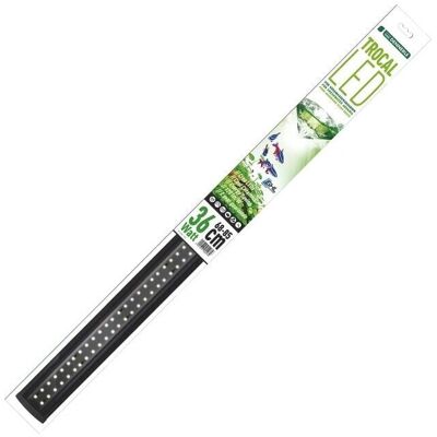 Dennerle Trocal LED 70cm - Aquariumbeleuchtung Dennerle Trocal LED 70cm - Aquariumbeleuchtung