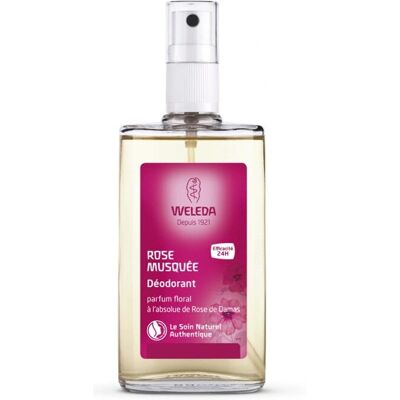 Weleda Wild Rose Deodorant - Natürlicher 24h Blütenduft Veganer Weleda Wild Rose Deodorant - Natürlicher 24h Blütenduft Veganer