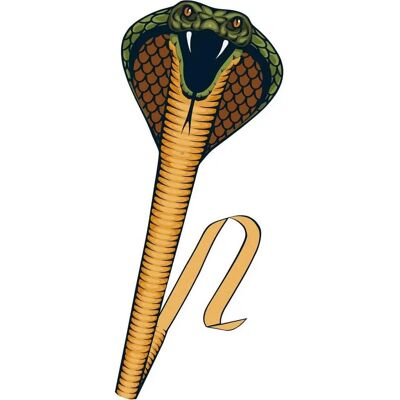 Paul Günther Cobra cerf-volant - Polyester Ripstop durable - 69x400cm - Enfants 6+ - Publicité Paul Günther Cobra cerf-volant - Polyester Ripstop durable - 69x400cm - Enfants 6+ - Publicité