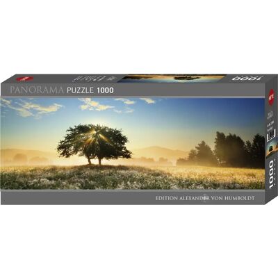 Puzzle Humboldt Play of Light - 1000 Pièces Puzzle Humboldt Play of Light - 1000 Pièces