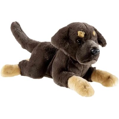 HEUNEC Welpe Labrador Liegend - Plüschtier HEUNEC Welpe Labrador Liegend - Plüschtier