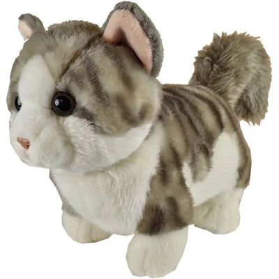 Heunec Misanimo Short Legs Katze Plüschtier - Plüschtier Heunec Misanimo Short Legs Katze Plüschtier - Plüschtier
