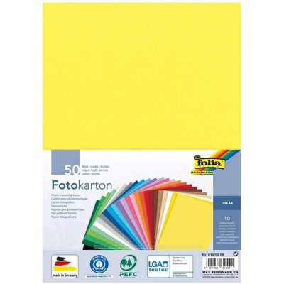 Folia A4 300g/m² Assorted Color Cardboard - 50 Sheets Folia A4 300g/m² Assorted Color Cardboard - 50 Sheets