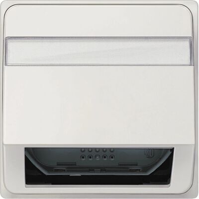 Siemens 5TG1358 Wandplatte - Schrägauslaß - Fiberoptik - IP20 Siemens 5TG1358 Wandplatte - Schrägauslaß - Fiberoptik - IP20