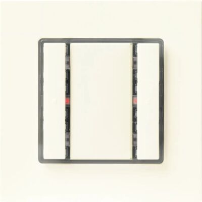Siemens 5WG1221-2DB13 Wandplatte - Schalter - Mehrfarbig Siemens 5WG1221-2DB13 Wandplatte - Schalter - Mehrfarbig