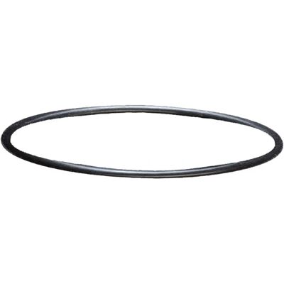 Sera 130-130+Uv Guarnizione Testata per Filtro - Guarnizione per filtri esterni Sera 130-130+Uv Guarnizione Testata per Filtro - Guarnizione per filtri esterni