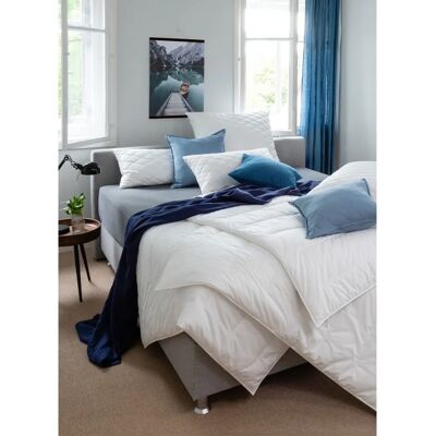 Centa-Star Famous Leicht-Bett Sommerdecke - Bettdecke Centa-Star Famous Leicht-Bett Sommerdecke - Bettdecke