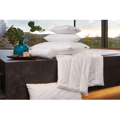 Centa-Star Aqua Aktiv Atmungsaktive Bettdecke - 200x220cm - Allergiker geeignet Centa-Star Aqua Aktiv Atmungsaktive Bettdecke - 200x220cm - Allergiker geeignet