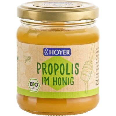 Hoyer Honig - Blüten mit Propolis - 250g - Honig Hoyer Honig - Blüten mit Propolis - 250g - Honig