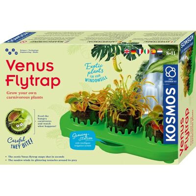 Kosmos Dionée - Kit éducatif pour plantes carnivores Kosmos Dionée - Kit éducatif pour plantes carnivores