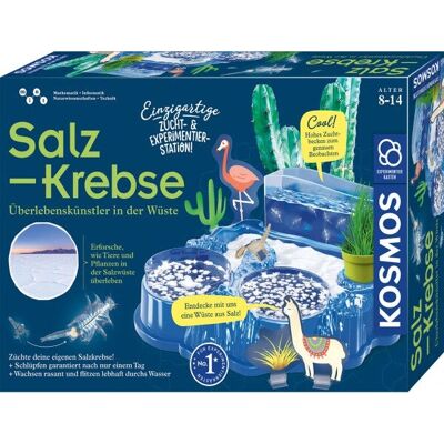 Kosmos 63326 Jouet Scientifique pour Enfants - Kit Habitat de Crabes de Sel Kosmos 63326 Jouet Scientifique pour Enfants - Kit Habitat de Crabes de Sel