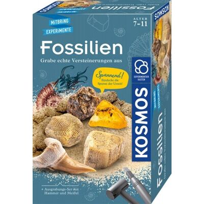 KOSMOS Kit d'excavation de fossiles - Pour enfants KOSMOS Kit d'excavation de fossiles - Pour enfants