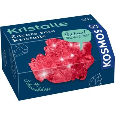 KOSMOS Kristalle - Kristallbaum - Chemie - ab 10 Jahren KOSMOS Kristalle - Kristallbaum - Chemie - ab 10 Jahren