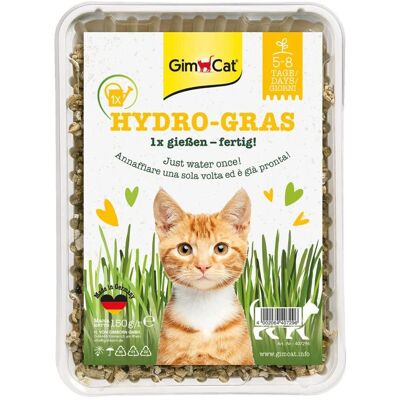 GimCat Gimpet Hy-Gras - Trawa dla kotów - 150g GimCat Gimpet Hy-Gras - Trawa dla kotów - 150g