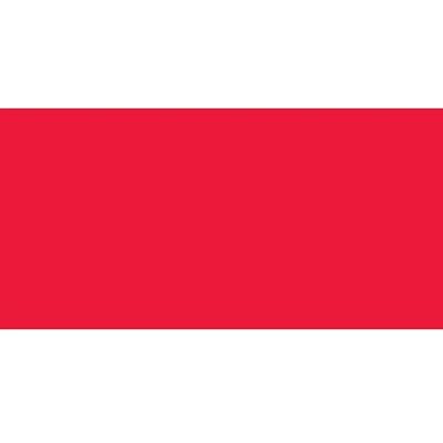 Prym Strong Cotton Herringbone Tape - Red - 20mm, 3m Prym Strong Cotton Herringbone Tape - Red - 20mm, 3m