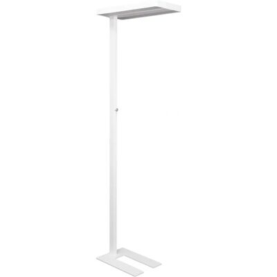 Lampada da Tavolo MAUL Bianca - Regolabile Luminosità Lampada da Tavolo MAUL Bianca - Regolabile Luminosità