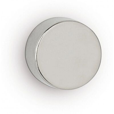 Maul 15x10mm Neodym Scheibenmagnet - Whiteboard Maul 15x10mm Neodym Scheibenmagnet - Whiteboard