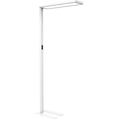 MAUL MAULsenja LED Stehleuchte - Verstellbare Farbtemperatur, Dimmbar, Silber MAUL MAULsenja LED Stehleuchte - Verstellbare Farbtemperatur, Dimmbar, Silber