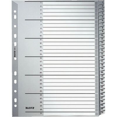Leitz 12810000 Organiseur A4 Gris avec 31 Diviseurs Leitz 12810000 Organiseur A4 Gris avec 31 Diviseurs