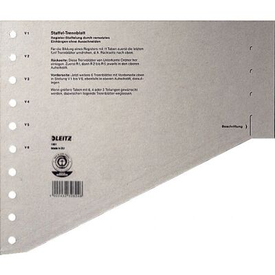 Leitz Modèle 16510085 Surfolder Intercalaires - Accessoires pour dossiers Leitz Modèle 16510085 Surfolder Intercalaires - Accessoires pour dossiers