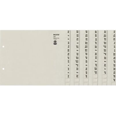 Organiseur de fichiers gris Leitz 13360085 avec onglets A-Z - Publicité Organiseur de fichiers gris Leitz 13360085 avec onglets A-Z - Publicité