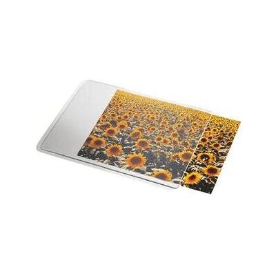 Esselte 67691 Vit Transparent Musmatta - Musmatta Esselte 67691 Vit Transparent Musmatta - Musmatta