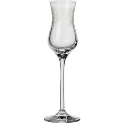LEONARDO Chateau 6 sztuki Kieliszek do szampana - Champagne Flute LEONARDO Chateau 6 sztuki Kieliszek do szampana - Champagne Flute