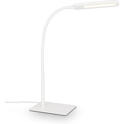 Briloner Weiße LED Schreibtischlampe - Verstellbare Farbtemperatur & Speicher Briloner Weiße LED Schreibtischlampe - Verstellbare Farbtemperatur & Speicher