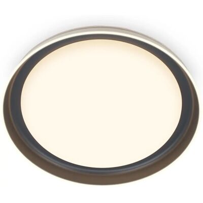 Briloner Ceiling LED Light 24W Warm White - Ceiling Lamp Briloner Ceiling LED Light 24W Warm White - Ceiling Lamp