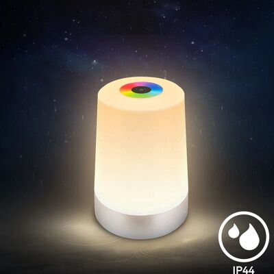 B.K.LICHT LED Table Lamp RGB+W - Table Lamp B.K.LICHT LED Table Lamp RGB+W - Table Lamp
