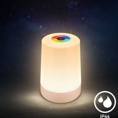 B.K.LICHT LED Table Lamp RGB+W - Table Lamp B.K.LICHT LED Table Lamp RGB+W - Table Lamp