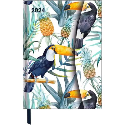 Jungle 2024 - Diary - Book Calendar - Pocket Calendar - 16x22 - Magneto Diary - Used Jungle 2024 - Diary - Book Calendar - Pocket Calendar - 16x22 - Magneto Diary - Used