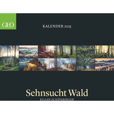 GEO Sehnsucht Wald 2025 - Waldlandschaften Wandkalender - 60x55 cm GEO Sehnsucht Wald 2025 - Waldlandschaften Wandkalender - 60x55 cm