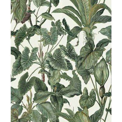 Papier peint Paradiso feuilles tropicales Erismann - Papier - Publicité Papier peint Paradiso feuilles tropicales Erismann - Papier - Publicité