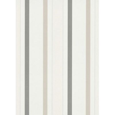 Erismann Summer Beat Modèle 542902 Papier Peint Rayures Beige - Publicité Erismann Summer Beat Modèle 542902 Papier Peint Rayures Beige - Publicité