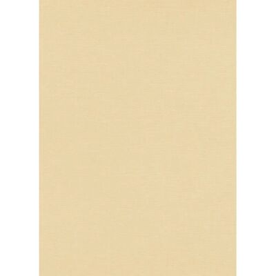 Erismann Beigefarbene Vinyl Tapete - 5.33 qm - Tapete Erismann Beigefarbene Vinyl Tapete - 5.33 qm - Tapete