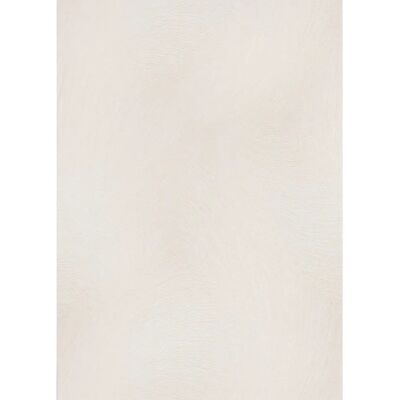Erismann - Genoa Cream Metallic Wispy Abstract Lines - Wallpaper Erismann - Genoa Cream Metallic Wispy Abstract Lines - Wallpaper