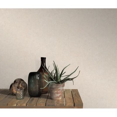 Erismann - 10430-02 Uni Einfarbig - Beige - Nonwoven wallpaper Erismann - 10430-02 Uni Einfarbig - Beige - Nonwoven wallpaper