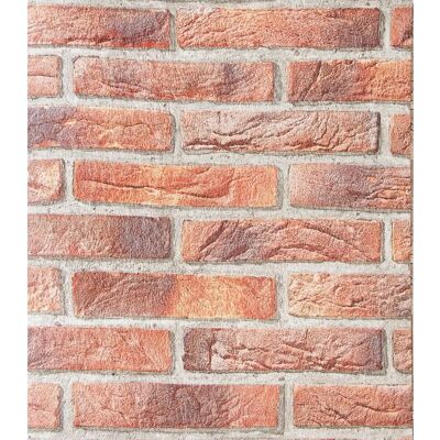 BRICOFLOR Rote Ziegelstein 3D Tapete - Wanddekoration BRICOFLOR Rote Ziegelstein 3D Tapete - Wanddekoration