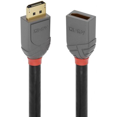 Cavo DisplayPort 1.4 Professionale Lindy - 1m Nero Cavo DisplayPort 1.4 Professionale Lindy - 1m Nero