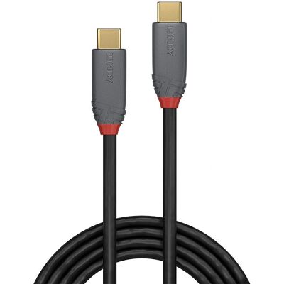 Lindy 36904 - Cavo USB 10Gbit/s, anthra, C a C, 3m Lindy 36904 - Cavo USB 10Gbit/s, anthra, C a C, 3m