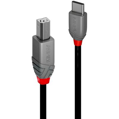 Cavo USB Lindy - 36943 - Nero - Alta prestazione USB 2.0 Tipo C a B - 3M Cavo USB Lindy - 36943 - Nero - Alta prestazione USB 2.0 Tipo C a B - 3M